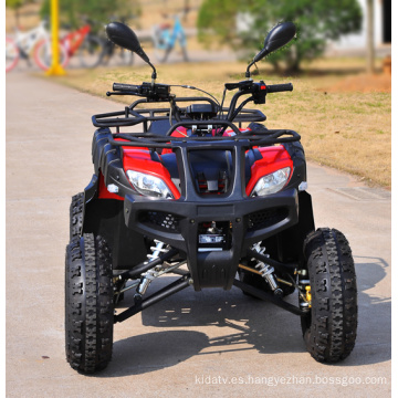 Cuatro movimientos automático ATV Utility por camino forestal